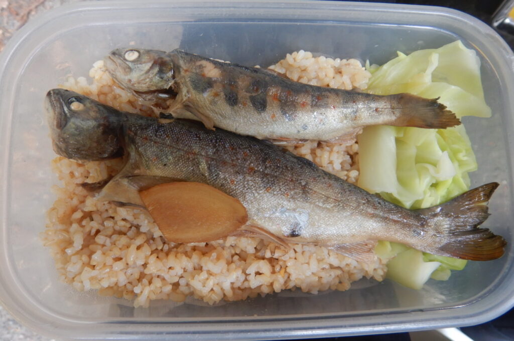 アマゴ煮付け弁当